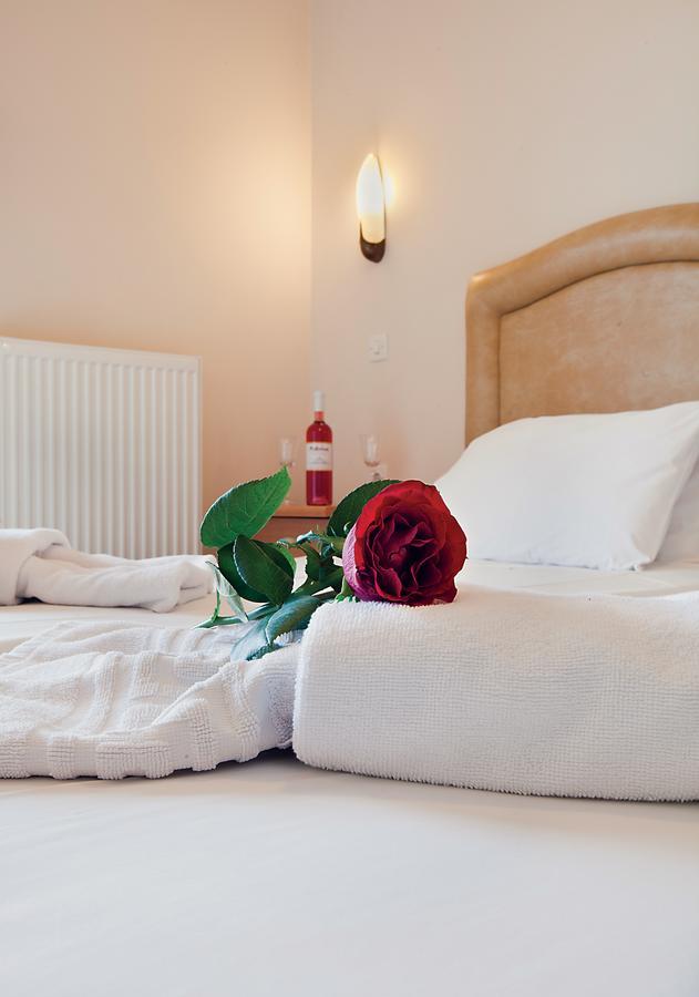 Epidavria Hotel Толон Екстериор снимка